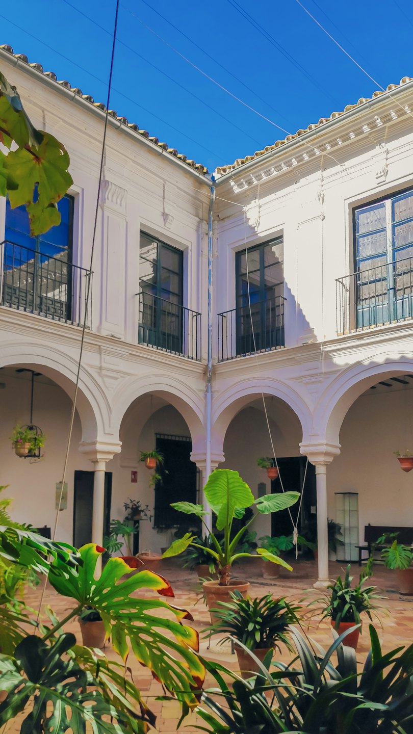 Potted plants line a Mediterranean courtyard with white arched colonnades.