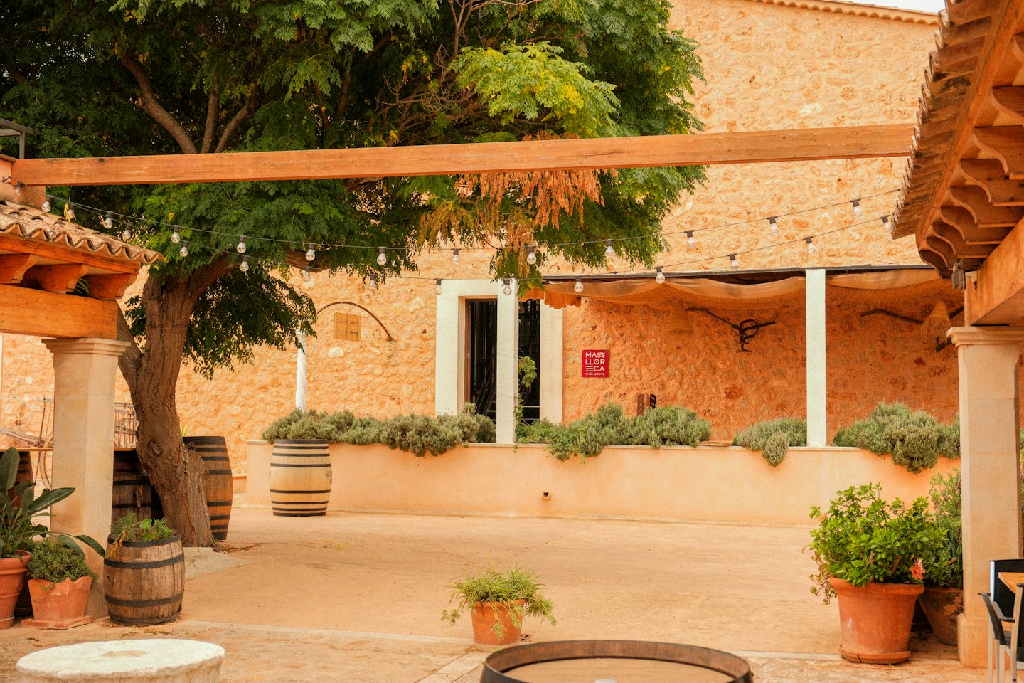 Outdoor courtyard with stone buildings, tree, and wine barrels.